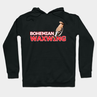 jz.birds Waxwing Bird Watching Birding Desing Hoodie